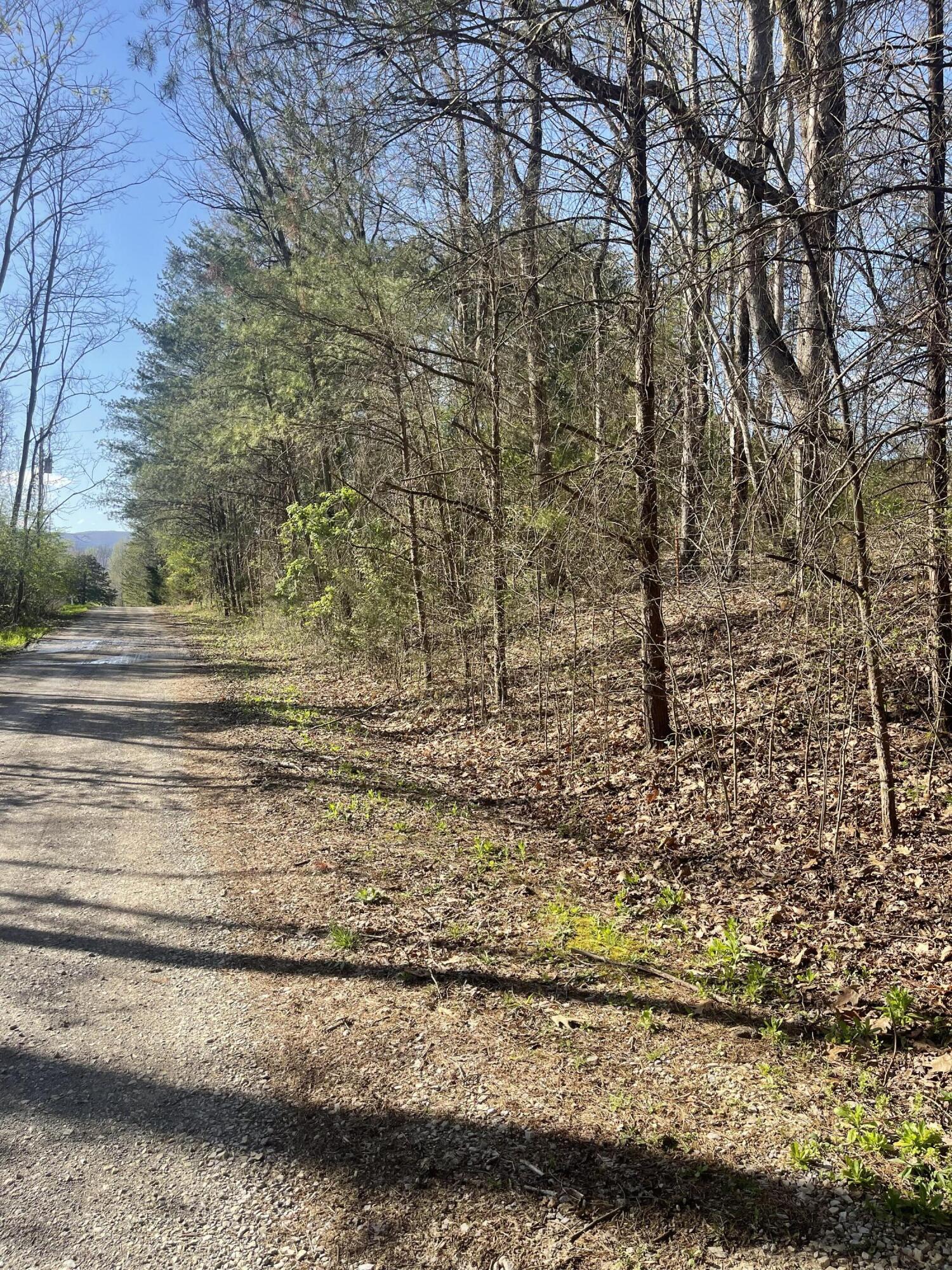 109 Homestead Road Whitwell, TN 37397 - Photo 97 of 130 8EEE7974-5083-430B-935E-034A734DC476