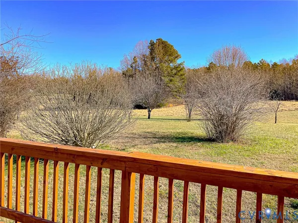 a view of yard with large tree