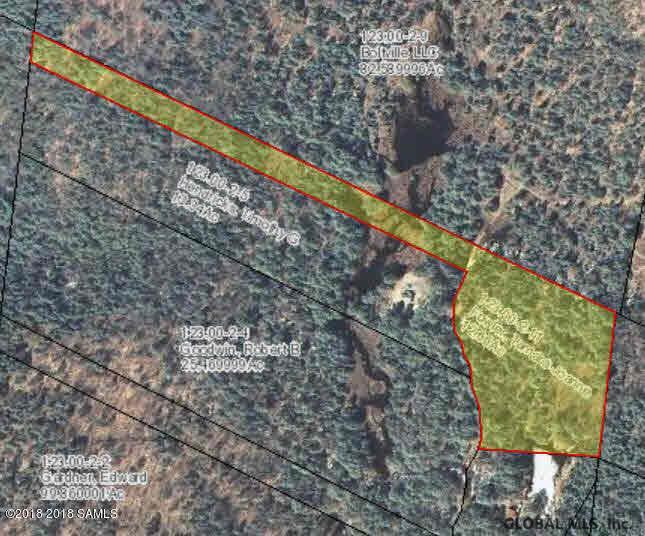 0 Hendricks Road Bolton Landing, NY 12814 - Photo 1 of 1 Photo 1