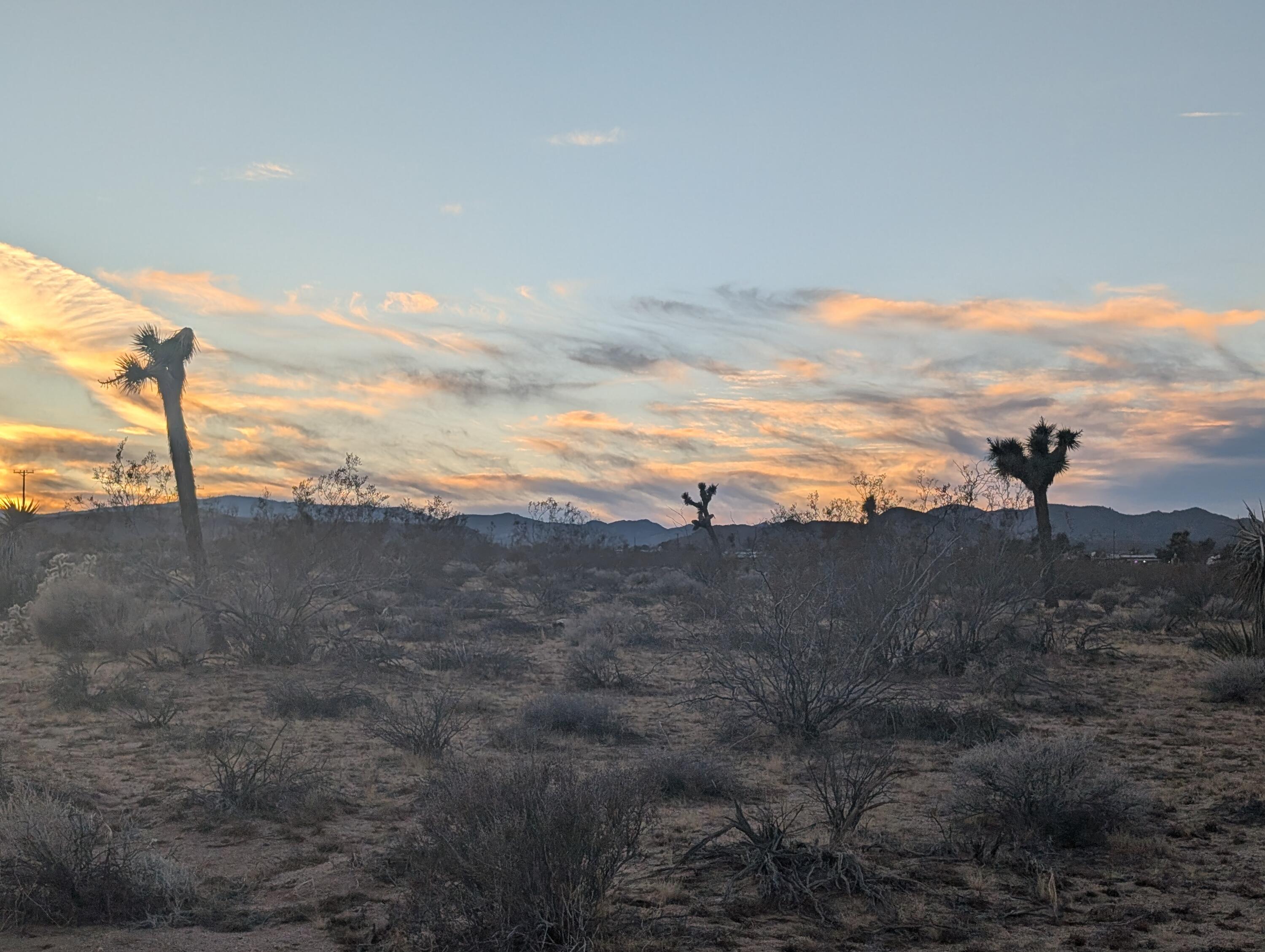476 Ripon Avenue Yucca Valley, CA 92284 - Photo 7 of 11 a view of a dry yard with wooden fence