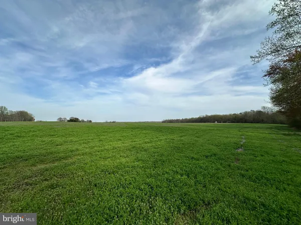 $1,250,000 | 3750 B Windy Hill Road, Trappe, MD 21673