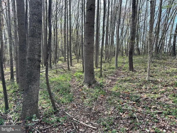 $1,250,000 | 3750 B Windy Hill Road, Trappe, MD 21673