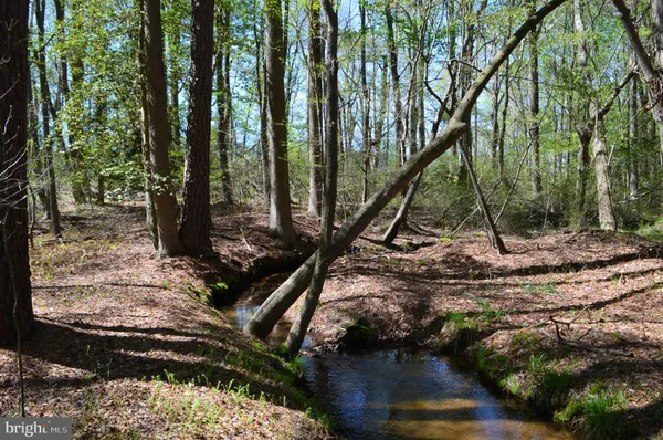 $1,250,000 | 3750 B Windy Hill Road, Trappe, MD 21673