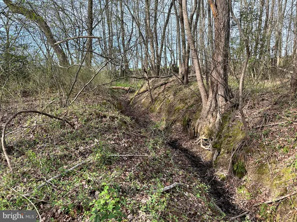 $1,250,000 | 3750 B Windy Hill Road, Trappe, MD 21673