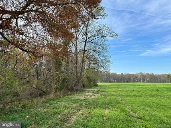 $1,250,000 | 3750 B Windy Hill Road, Trappe, MD 21673