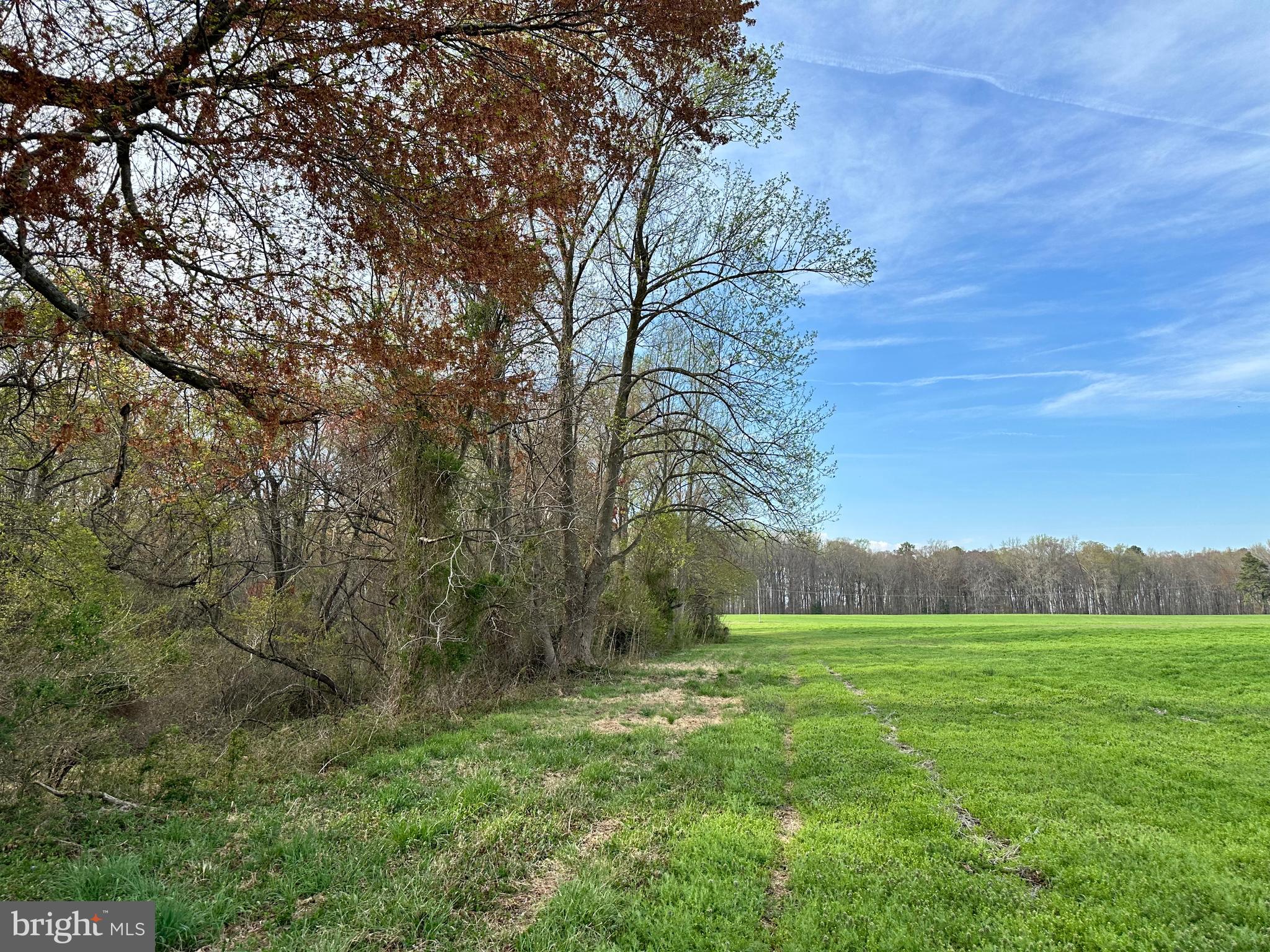 3750 B Windy Hill Road Trappe, MD 21673 - Photo 22 of 25