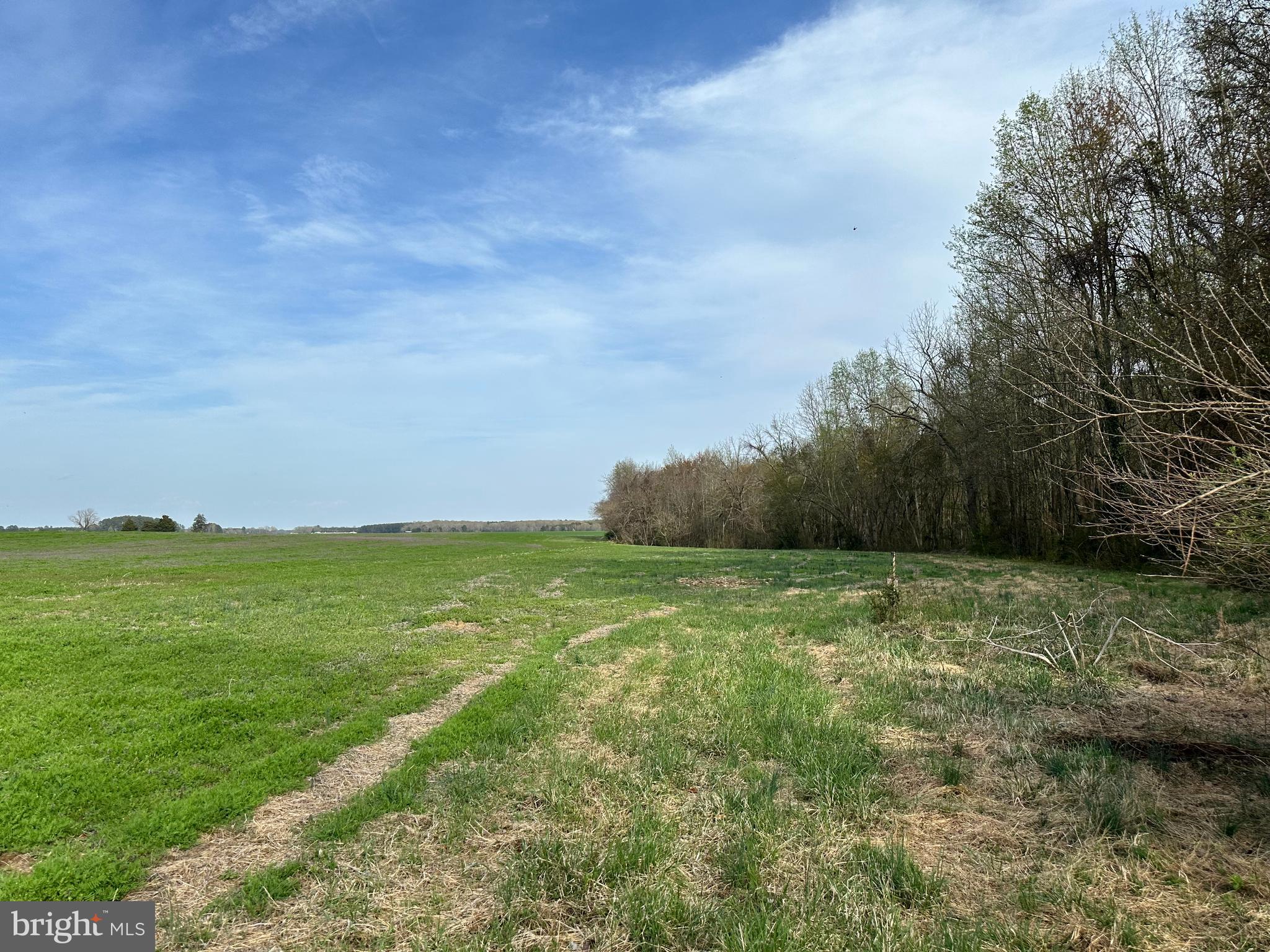 3750 B Windy Hill Road Trappe, MD 21673 - Photo 23 of 25