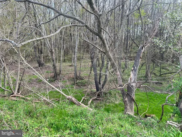 $1,250,000 | 3750 B Windy Hill Road, Trappe, MD 21673