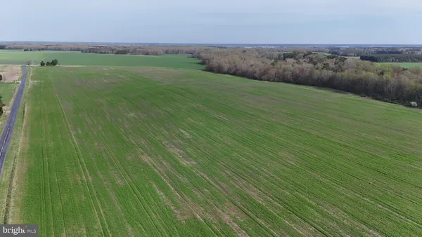 $1,250,000 | 3750 B Windy Hill Road, Trappe, MD 21673