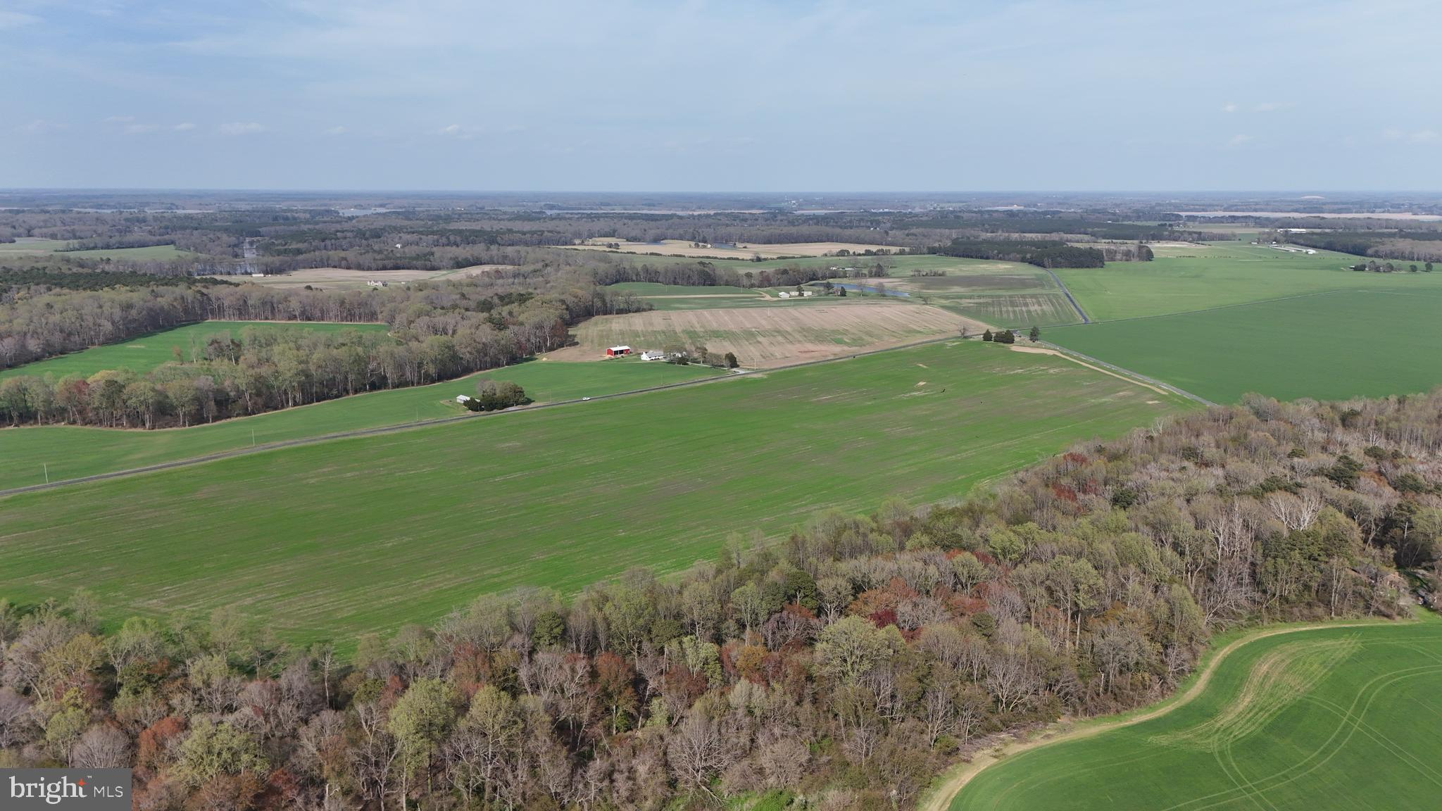 3750 B Windy Hill Road Trappe, MD 21673 - Photo 9 of 25