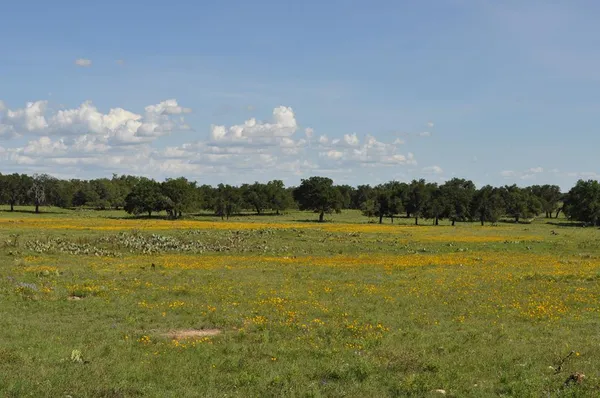 $1,695,000 | 18043 Ranch To Market Road 479, Harper, TX 78631