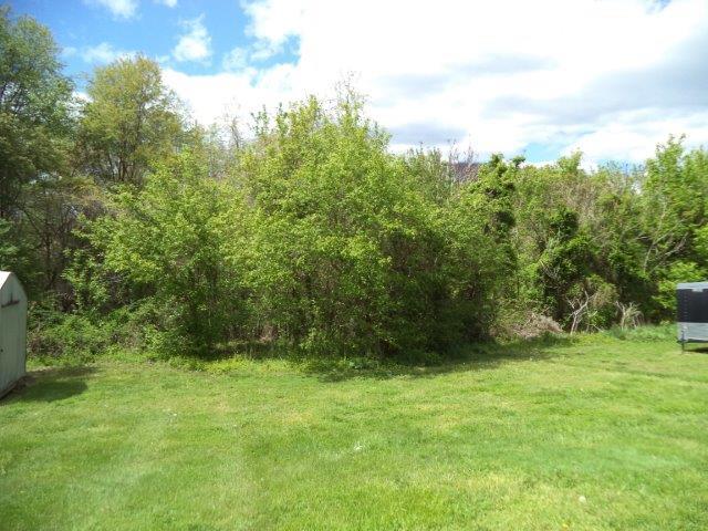 325 Newtown Road Buchanan, VA 24066 - Photo 11 of 39 Rear acreage