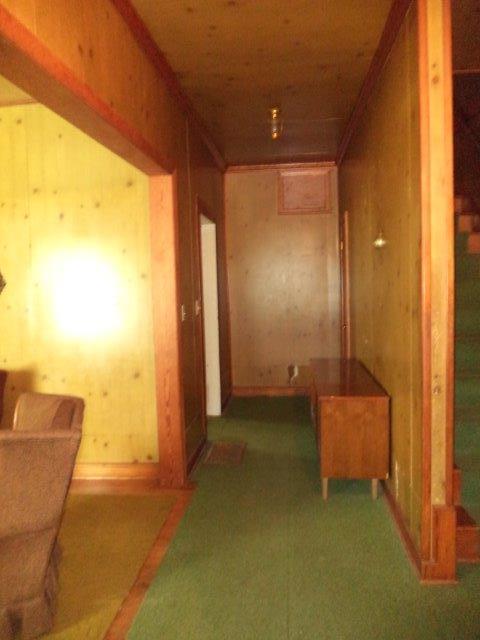 325 Newtown Road Buchanan, VA 24066 - Photo 15 of 39 Entry and hallway