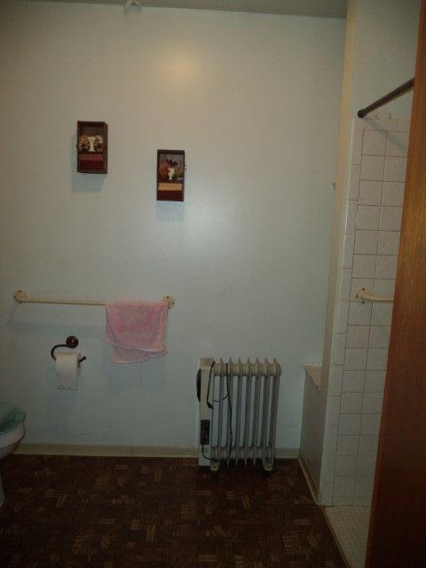 325 Newtown Road Buchanan, VA 24066 - Photo 19 of 39 Main level full bath
