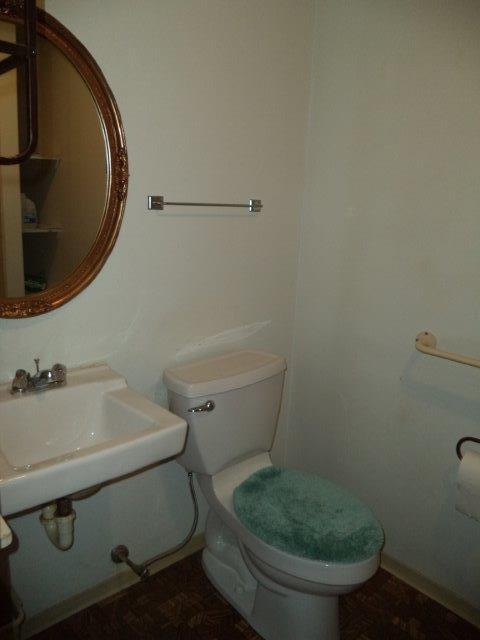 325 Newtown Road Buchanan, VA 24066 - Photo 20 of 39 Main level full bath