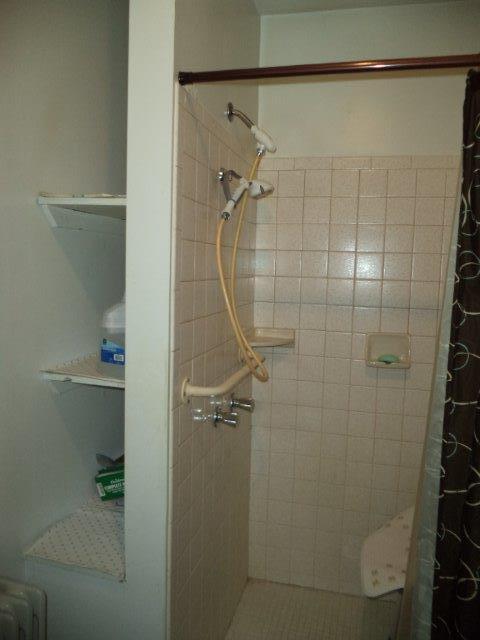 325 Newtown Road Buchanan, VA 24066 - Photo 21 of 39 Main level full bath