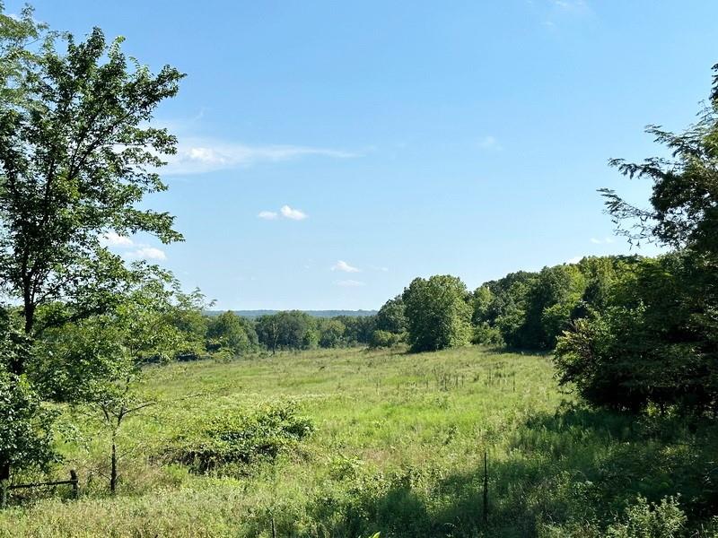 20150 East 620th Road Humansville, MO 65674 - Photo 1 of 1 Gallery Image 1