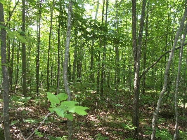 On Red Rock Road Athelstane, WI 54104 - Photo 1 of 7 Gallery Image 1