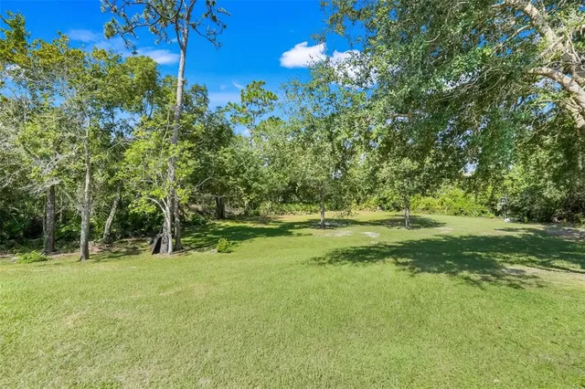 a view of outdoor space with trees all around