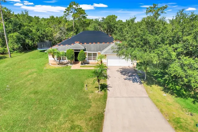 a view of a garden with an umbrella