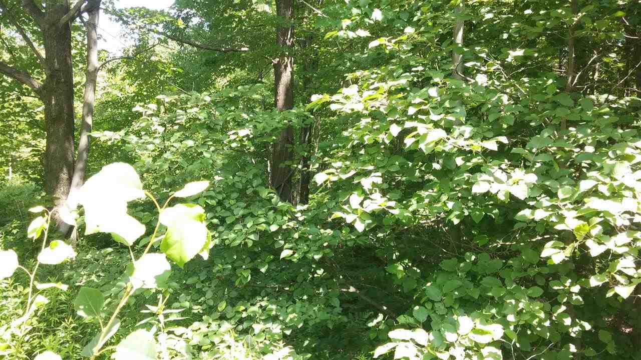 2241 East Baker Road Midland, MI 48642 - Photo 2 of 2 31204466-1.JPG