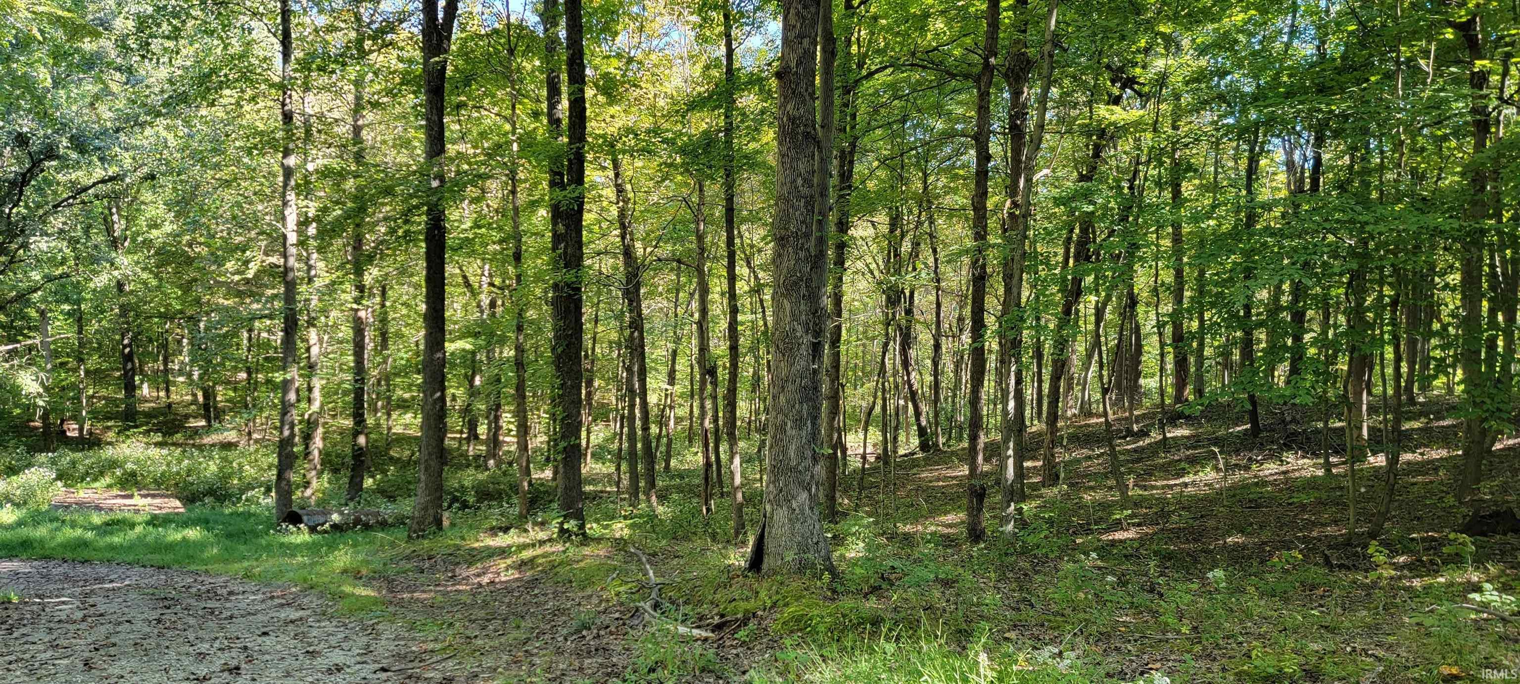 900 North County Road Shelburn, IN 47879 - Photo 18 of 29 Gallery Image 18