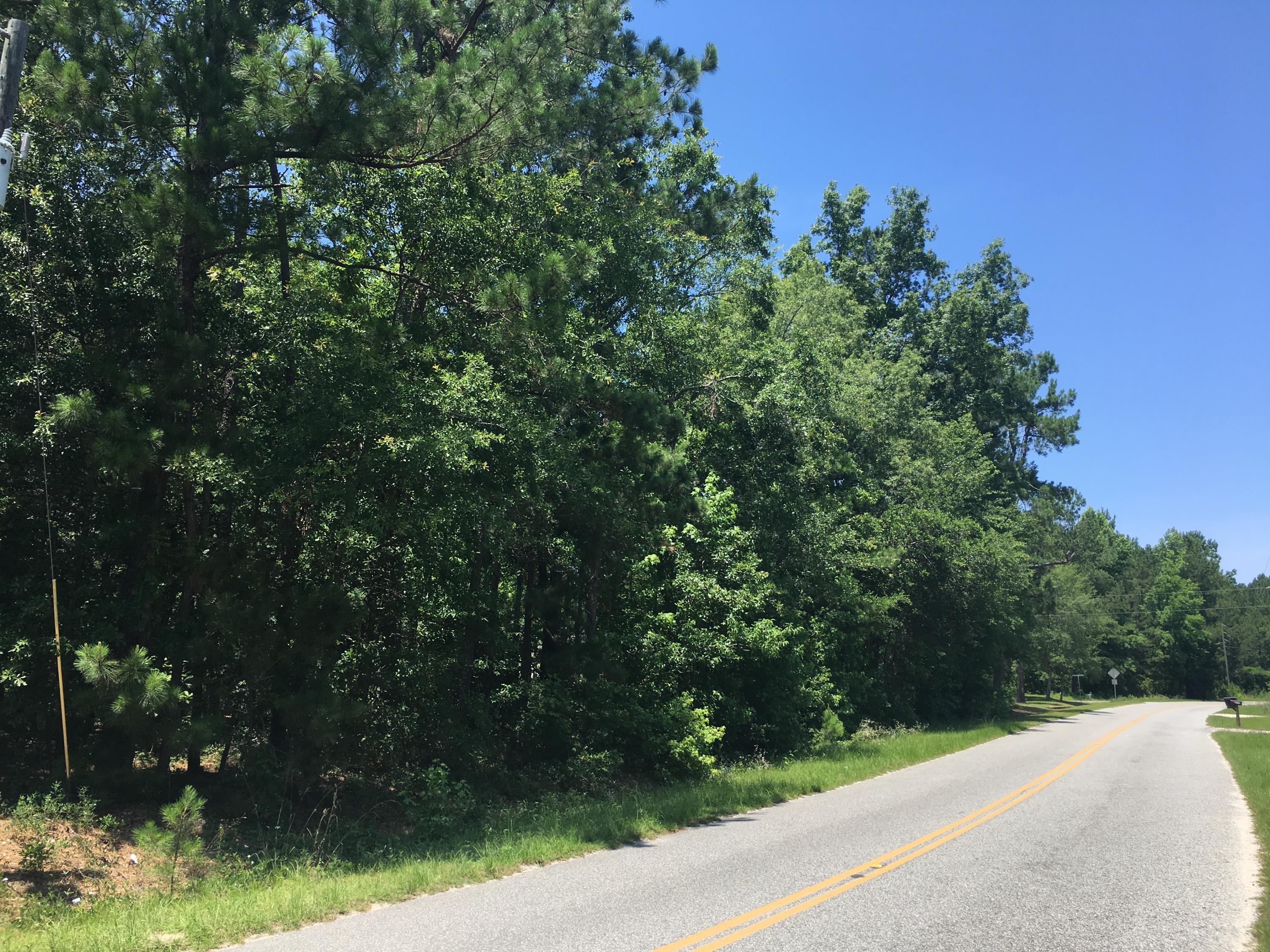 0 Kitfield Road Moncks Corner, SC 29461 - Photo 1 of 1 IMG_1386