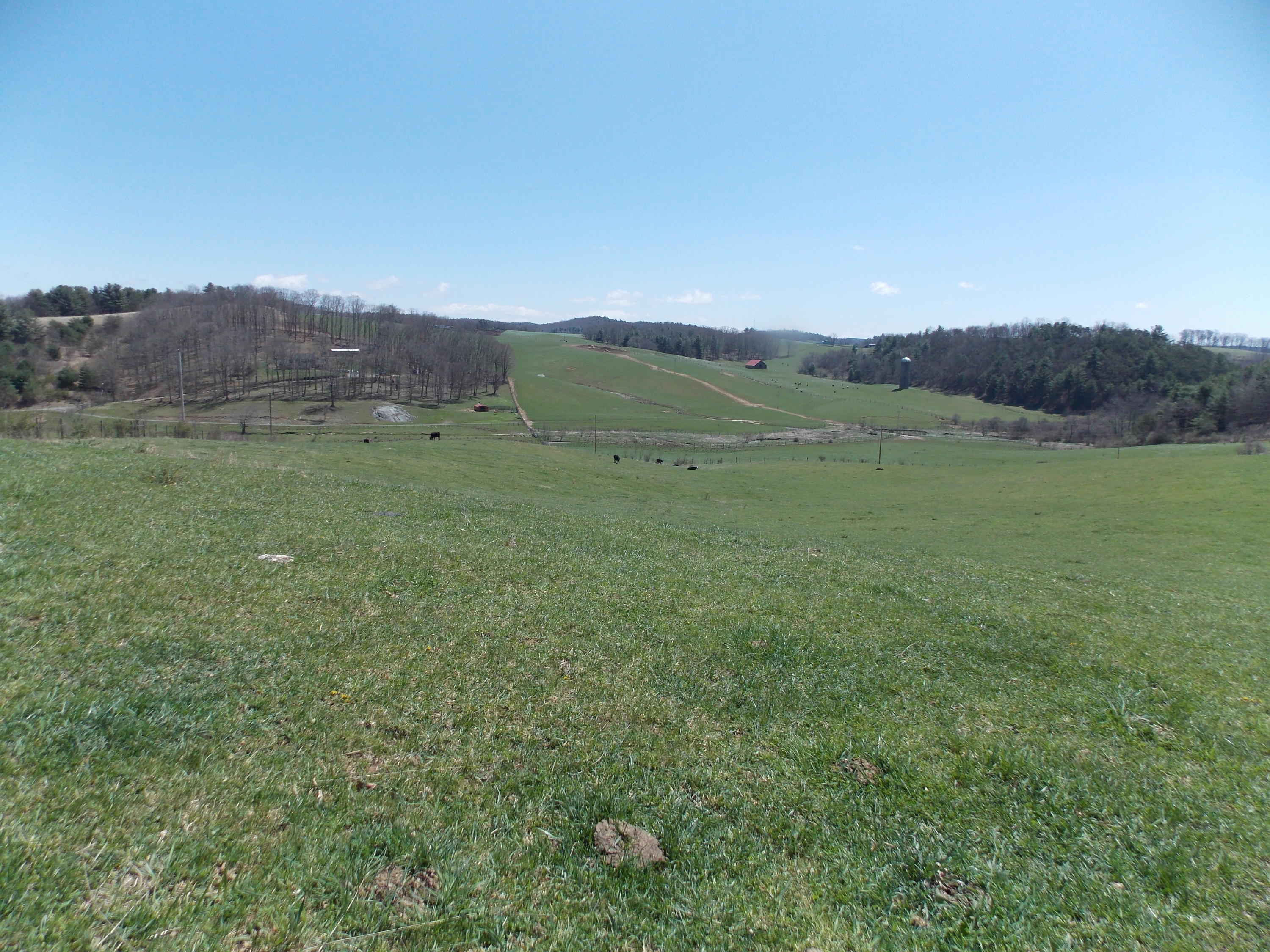 Lot 6 Double Springs Road Northeast Check, VA 24072 - Photo 4 of 7 a view of an outdoor space and a yard