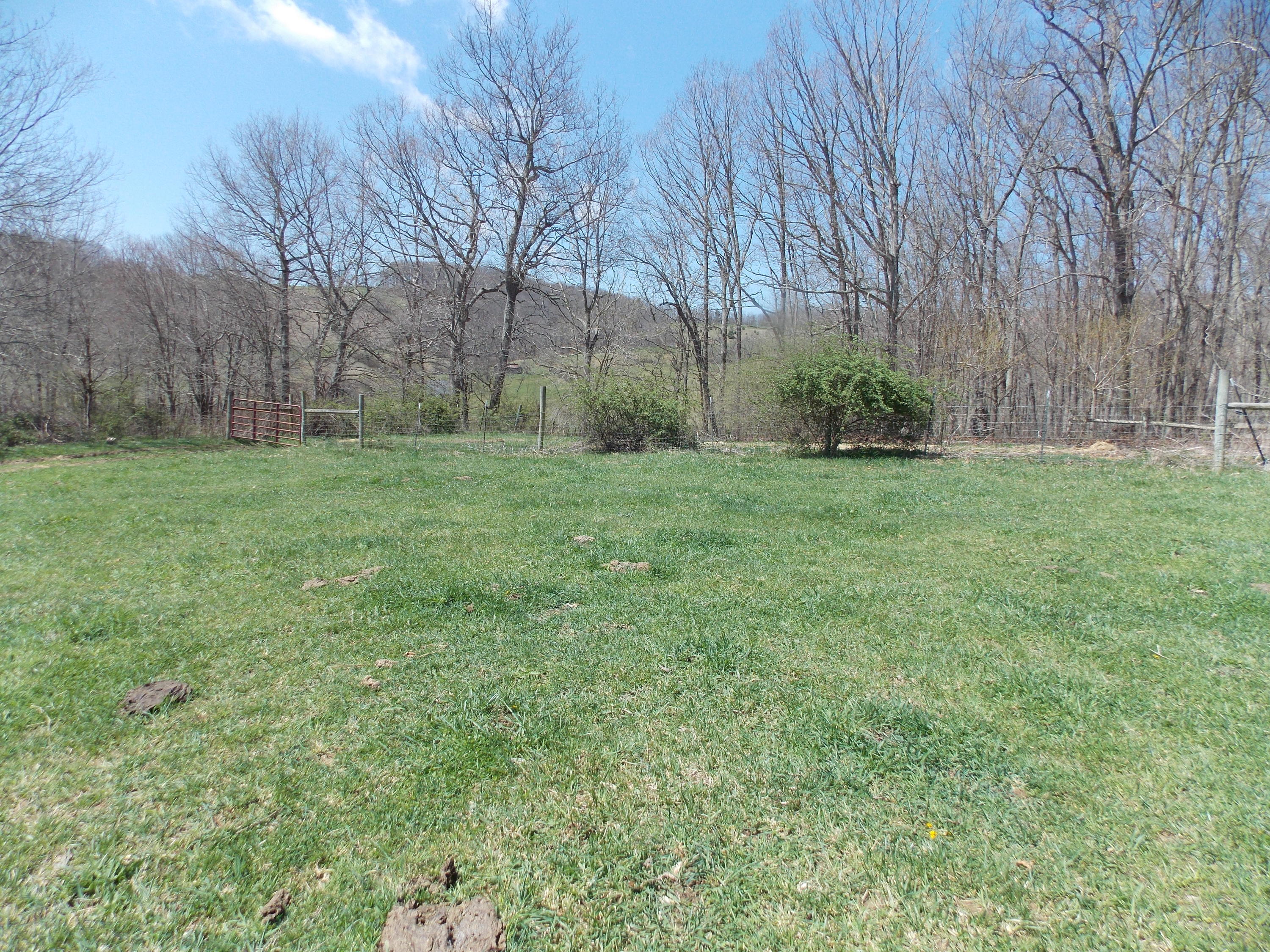 Lot 6 Double Springs Road Northeast Check, VA 24072 - Photo 5 of 7 a view of outdoor space and yard