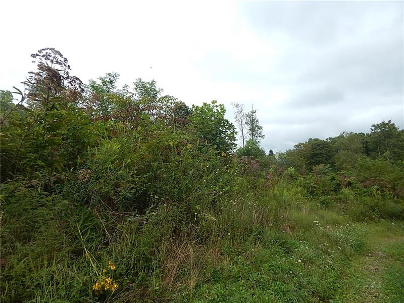 0 Stewarton Road Mill Run, PA 15464 - Photo 4 of 4