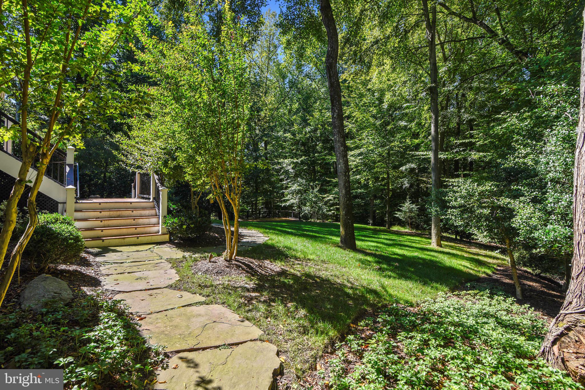 116 Chimney Ridge Place Sterling, VA 20165 - Photo 11 of 78 Hardscaping w exterior lighting package