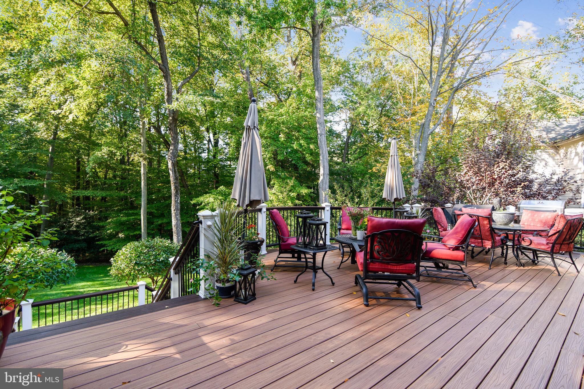 116 Chimney Ridge Place Sterling, VA 20165 - Photo 15 of 78 Expansive Deck off main level