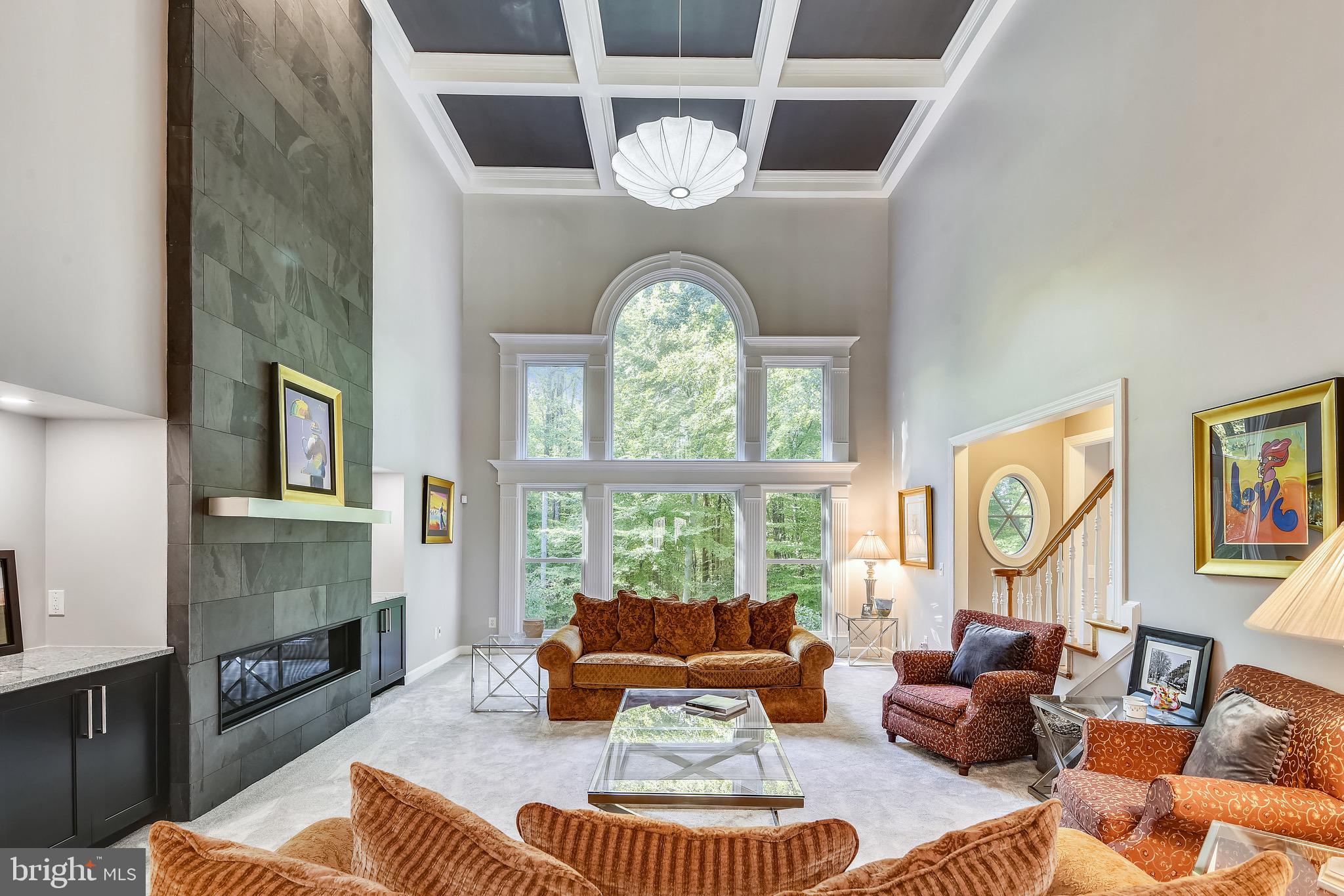 116 Chimney Ridge Place Sterling, VA 20165 - Photo 19 of 78 Upgraded Coffered ceiling; Fireplace: Lighting