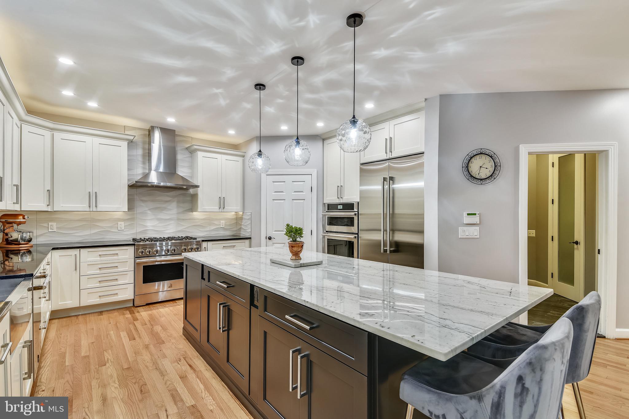 116 Chimney Ridge Place Sterling, VA 20165 - Photo 25 of 78 Fully renovated Kitchen (2020)