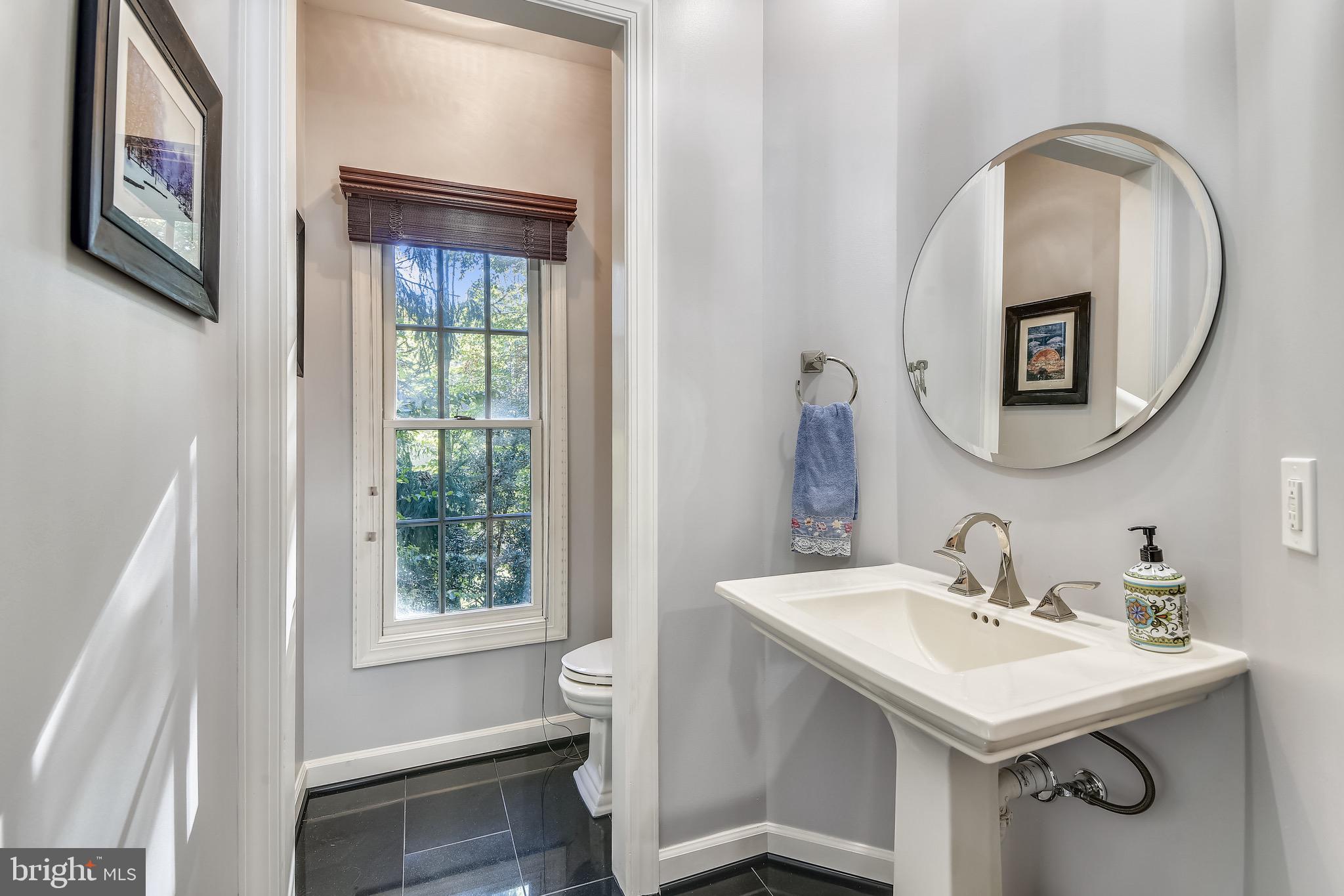 116 Chimney Ridge Place Sterling, VA 20165 - Photo 39 of 78 Main Lvl Powder: upgraded