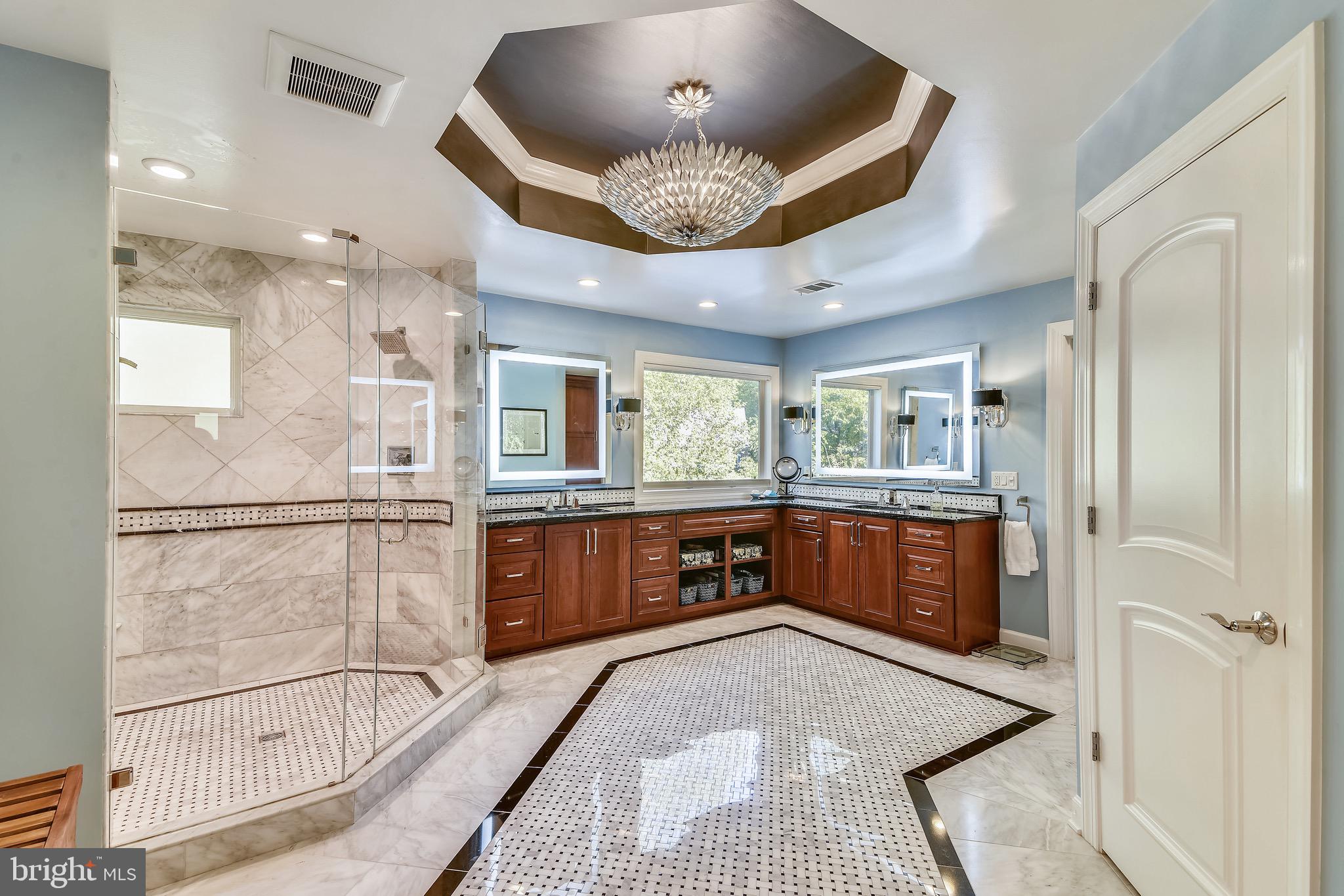 116 Chimney Ridge Place Sterling, VA 20165 - Photo 46 of 78 Master Bath: designer finishes