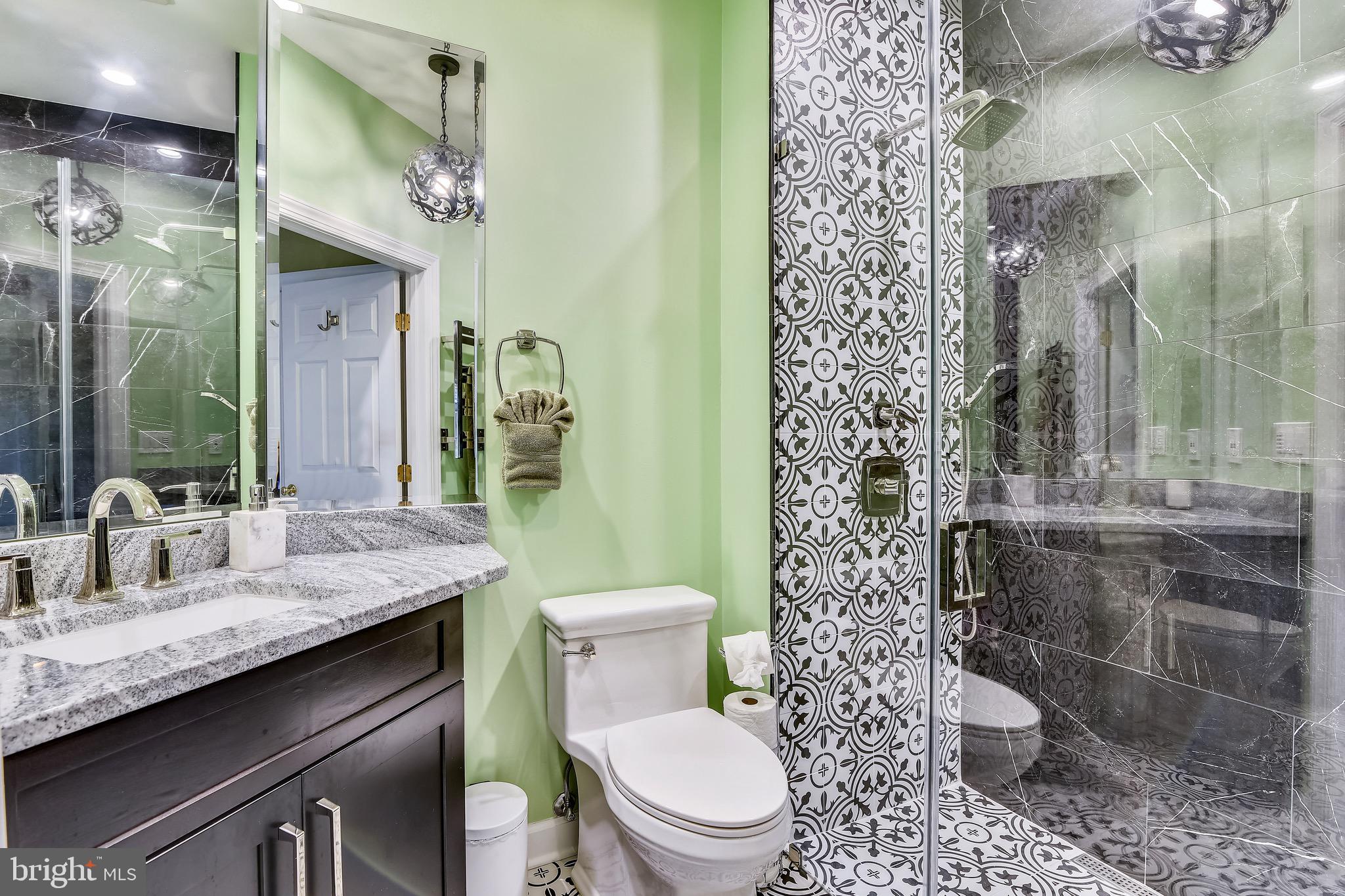 116 Chimney Ridge Place Sterling, VA 20165 - Photo 54 of 78 Bedroom #3 Bath: fully renovated