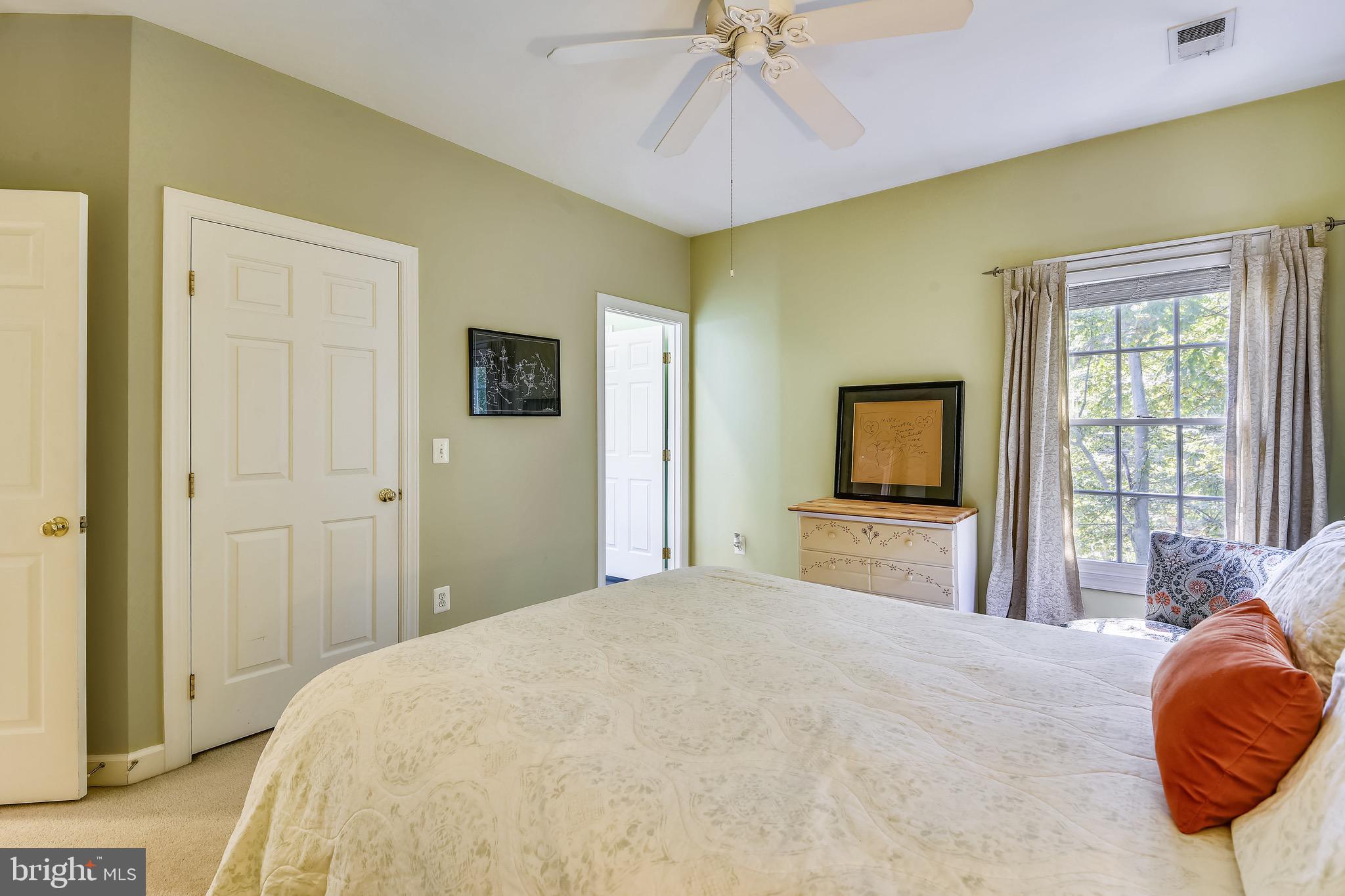 116 Chimney Ridge Place Sterling, VA 20165 - Photo 57 of 78 Bedroom #4: walk-in closet & en-suite