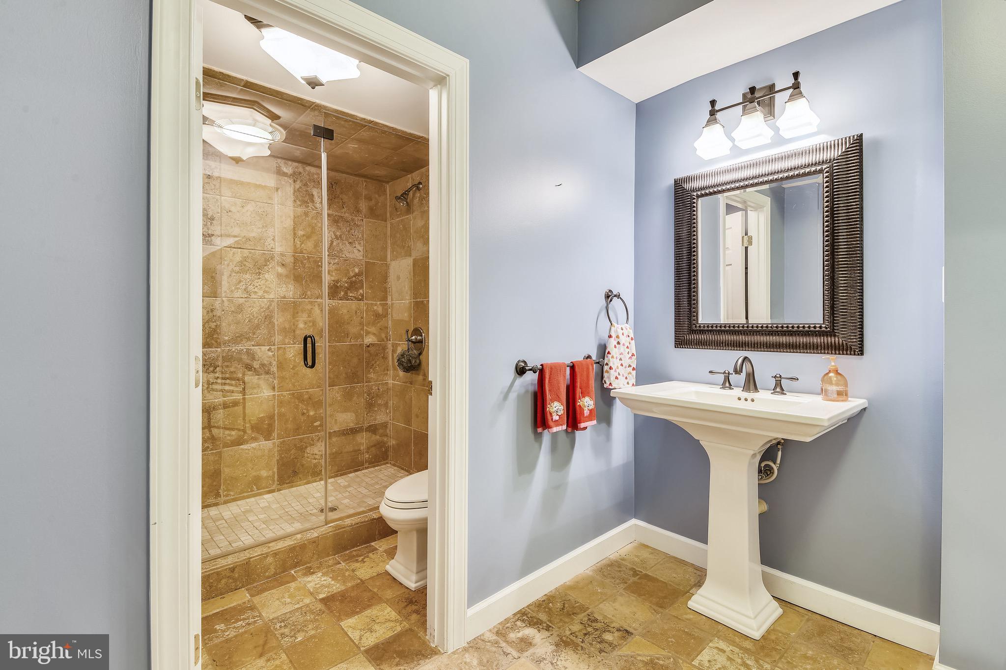 116 Chimney Ridge Place Sterling, VA 20165 - Photo 63 of 78 Lower Lvl: 5th Bedroom & Full Bath