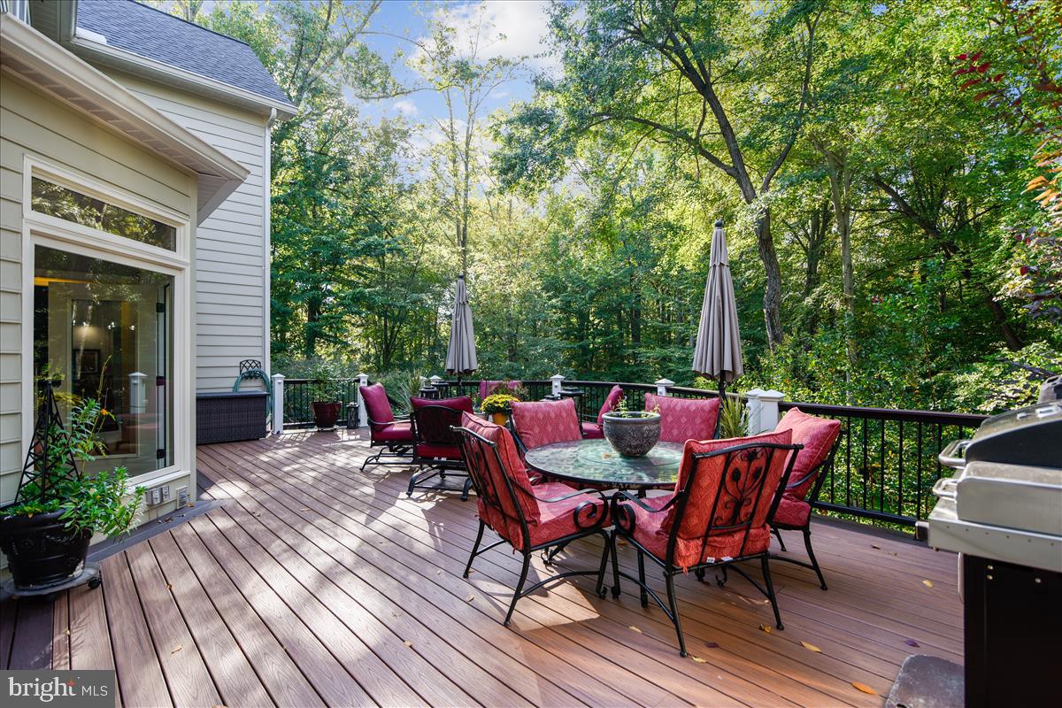 116 Chimney Ridge Place Sterling, VA 20165 - Photo 70 of 78