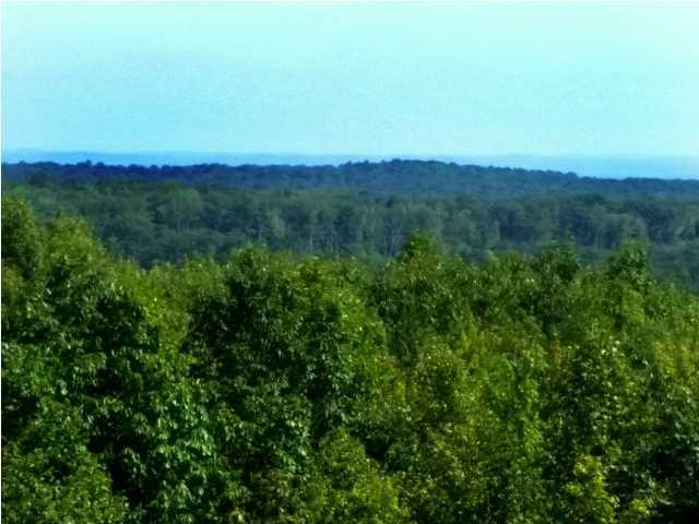 0 Fernleaf Lane, Unit LOT 40 Spring City, TN 37381 - Photo 14 of 20 Additional Photo