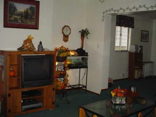 149 Spring Street Etna, PA 15223 - Photo 5 of 8 Other.