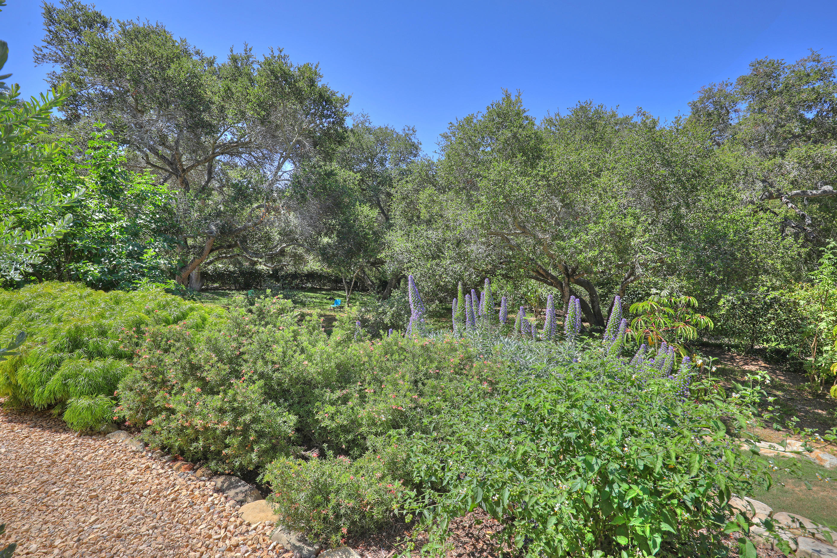 311 Ennisbrook Drive Montecito, CA 93108 - Photo 31 of 31