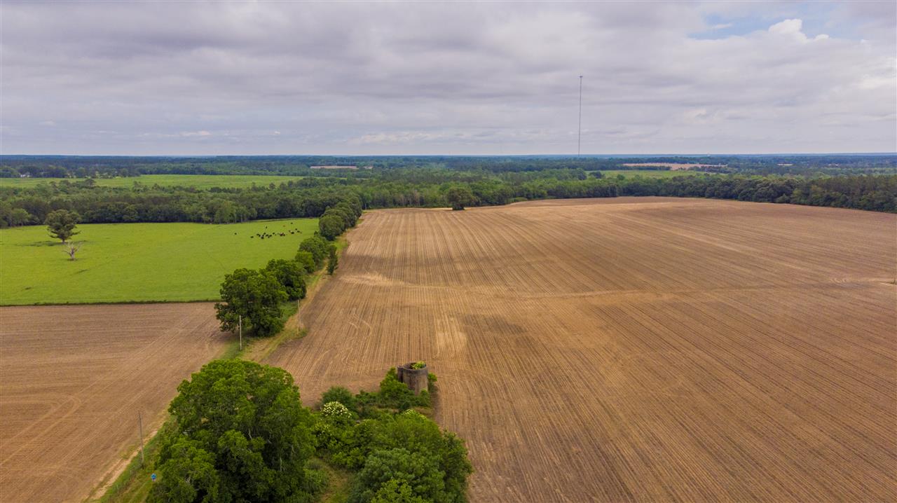 23900 Flowers Road Robertsdale, AL 36567 - Photo 9 of 13