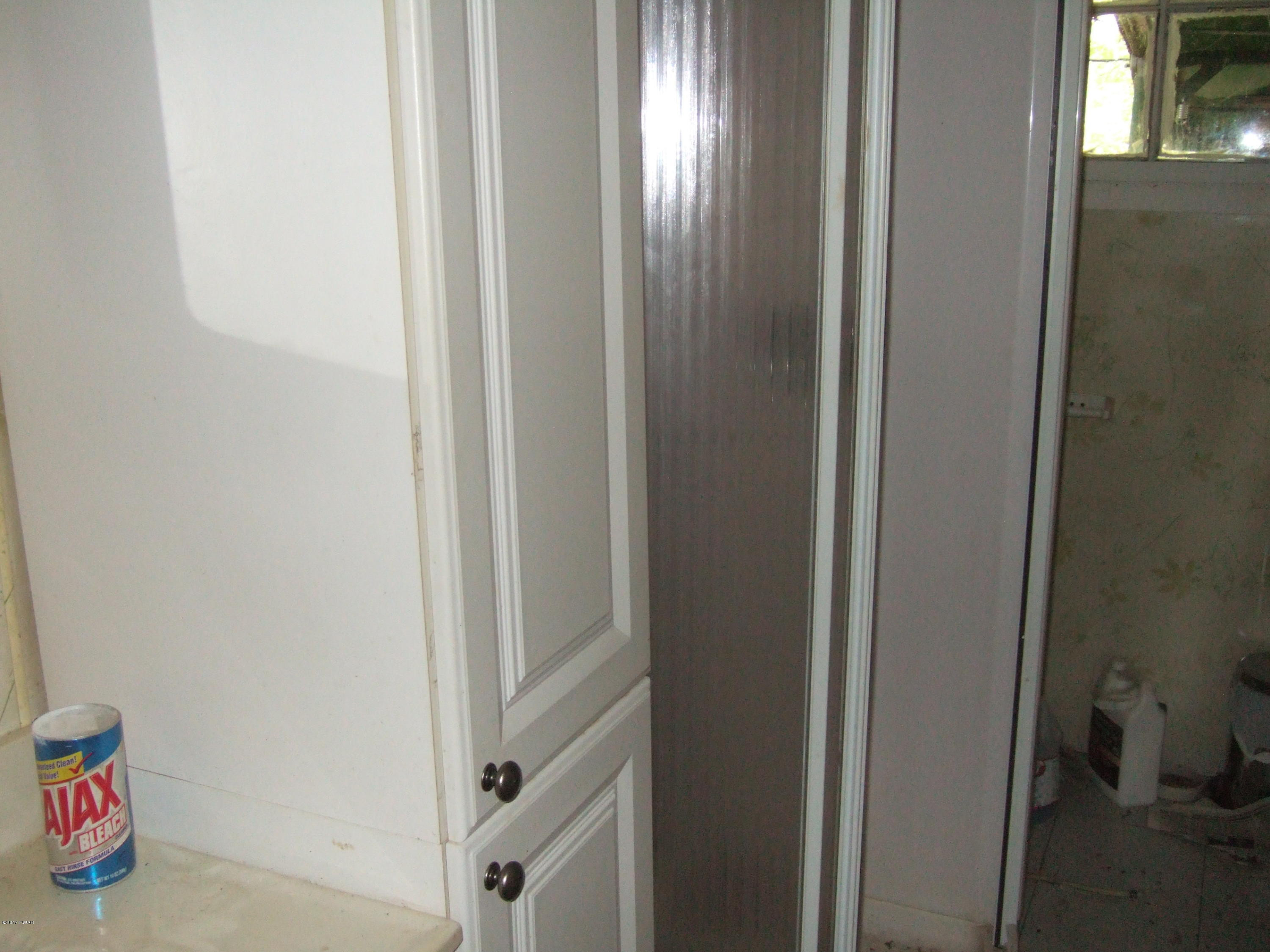 20 Old Peggy Runway Road Beach Lake, PA 18405 - Photo 18 of 26 Bathroom Newer Shower