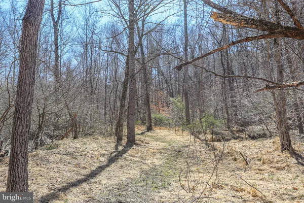 a view of a field with trees in the background