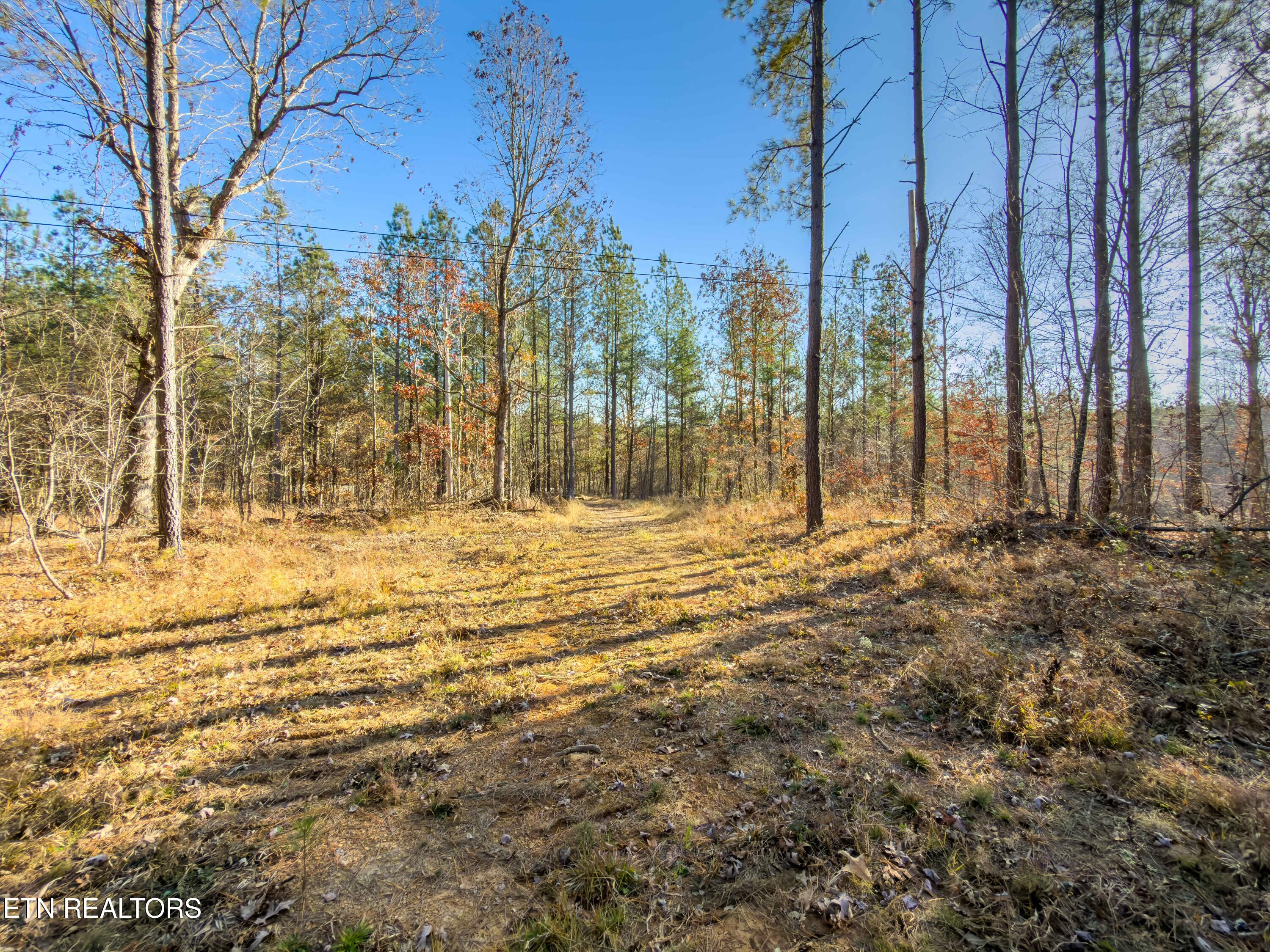 9745 Morgan County Highway Sunbright, TN 37872 - Photo 11 of 37 IMG_6468-Edit