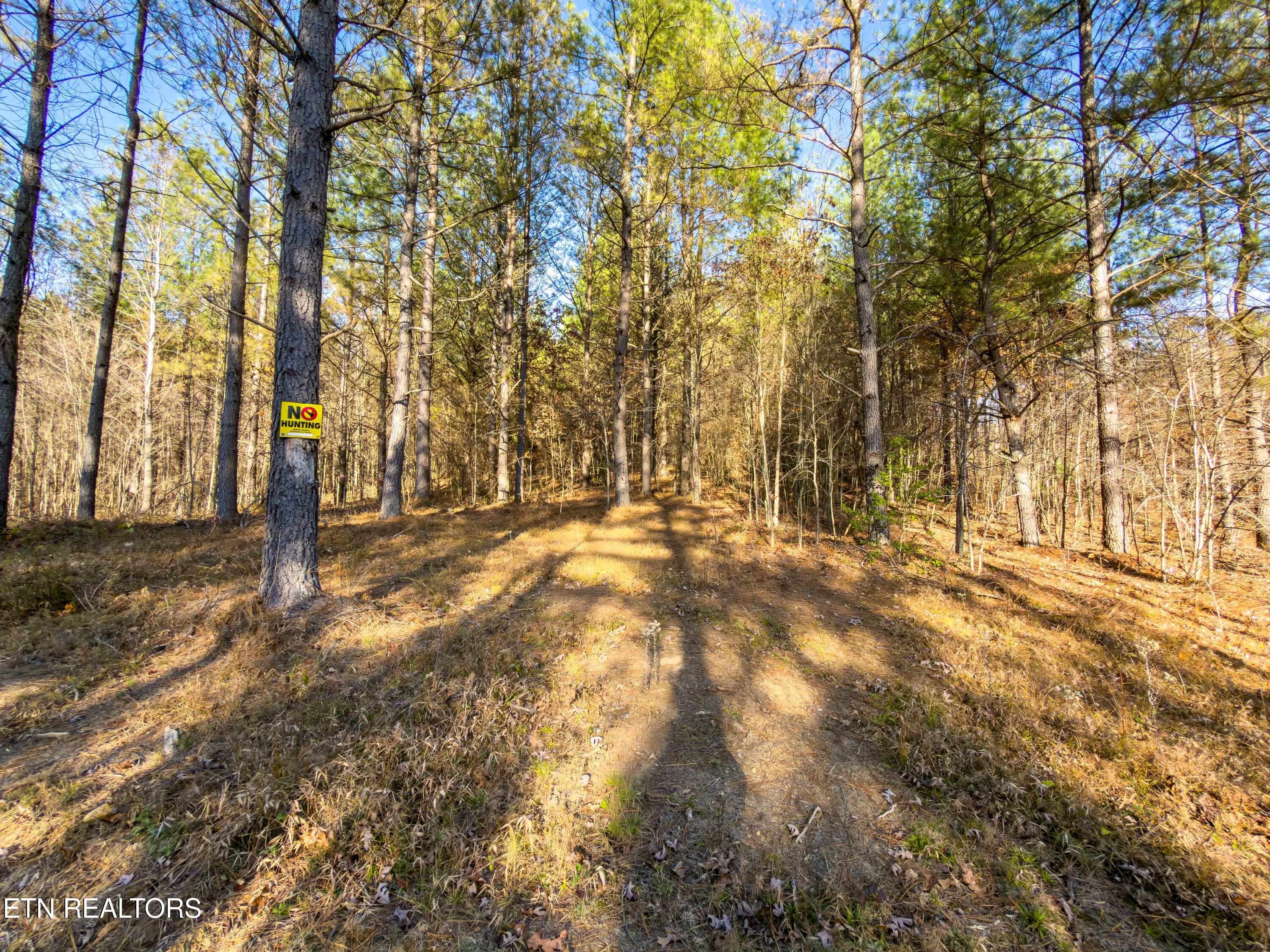 9745 Morgan County Highway Sunbright, TN 37872 - Photo 12 of 37 IMG_6469-Edit