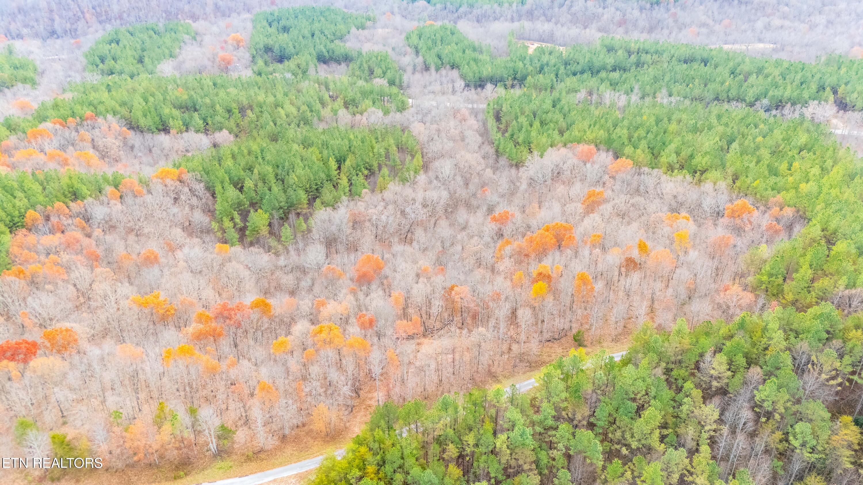 9745 Morgan County Highway Sunbright, TN 37872 - Photo 14 of 37 DJI_20251113124851_0002_D-HDR-Edit