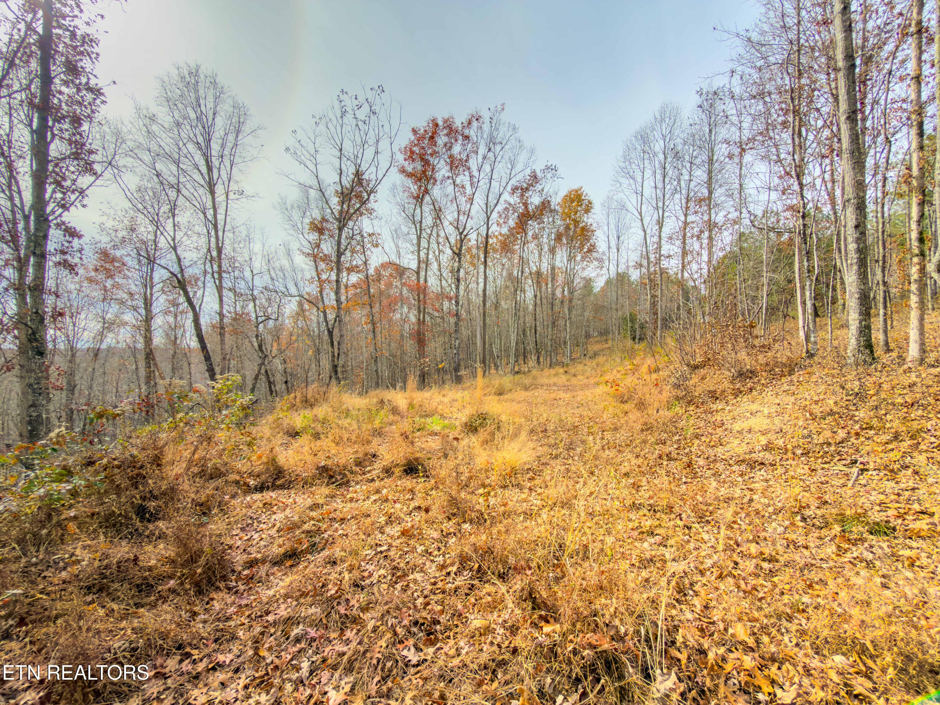 9745 Morgan County Highway Sunbright, TN 37872 - Photo 18 of 37 IMG_6478-Edit